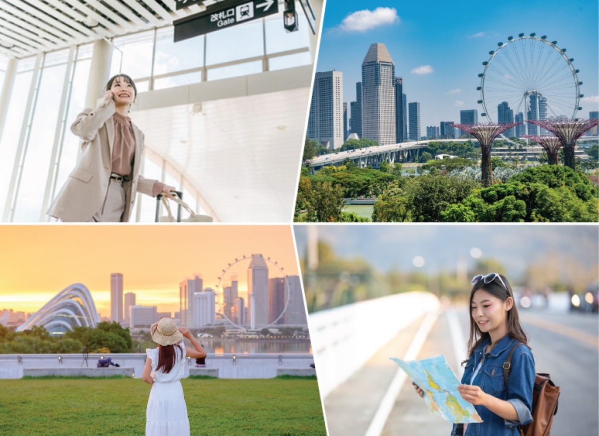 Diploma in Travel and Tourism Management